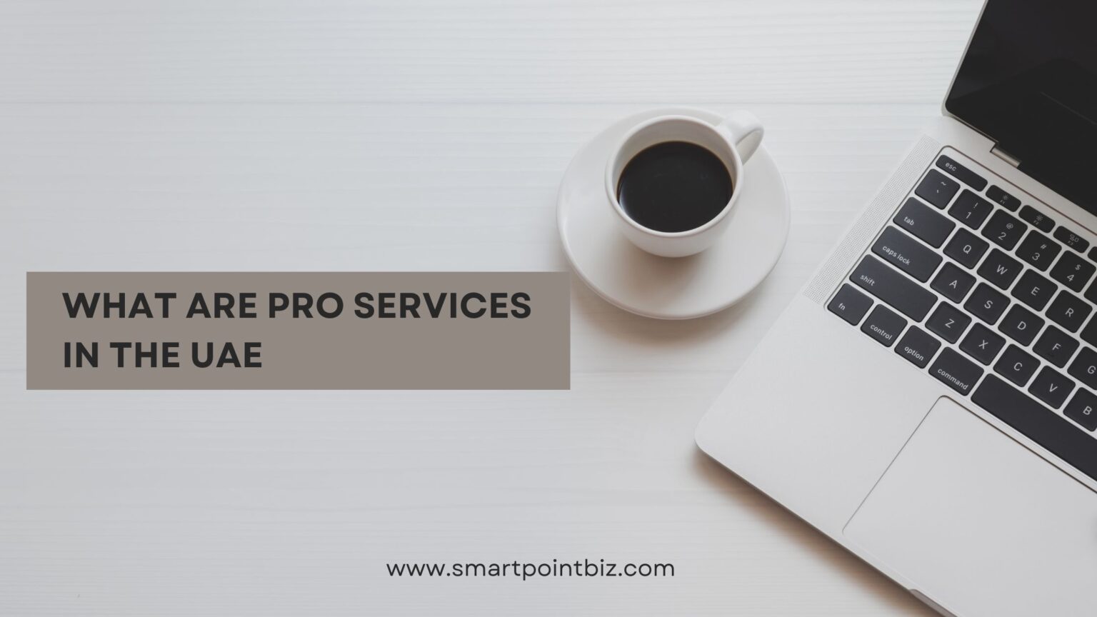 What Are PRO Services in the UAE?
